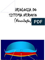 Embriologia Do Sistema Nervoso