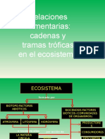 Cadenas e Interacciones