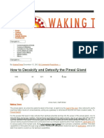 Detoxify Pineal Gland PDF