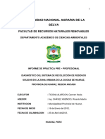 1.- DIAGNOSTICO DEL SISTEMA DE RECOLECCION DE RESIDUOS SOLIDOS EN LA ZONA URBANA DE LA CIUDAD DE HUARAZ.pdf