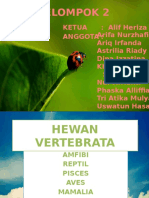 Kelompok 2 - Hewan Vertebrata