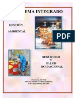MANUAL DE SGA Y SEGURIDAD.pdf