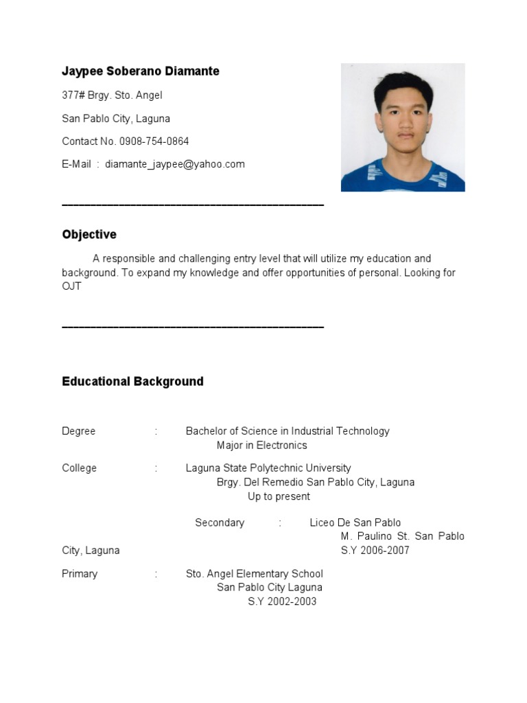 a-professional-resume-with-no-work-experience