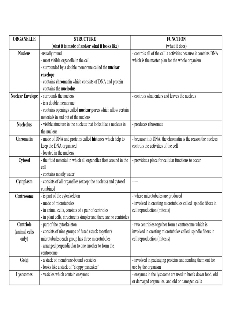 Chart on Cell Organelles | Cell Nucleus | Cell (Biology)