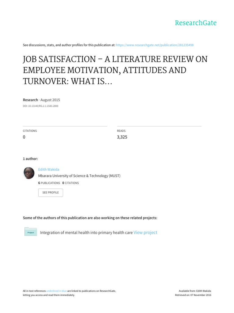 Literature Review Paper PDF | PDF | Turnover (Employment) | Motivation