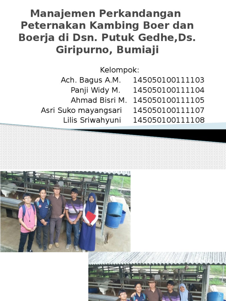 Pak Alex | PDF