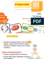 Biology Energy and Metabolisms