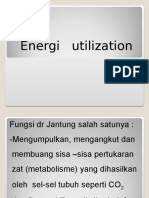 Energi Utilization