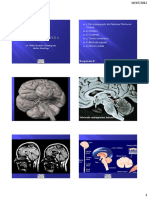 Neuroanatomia PDF