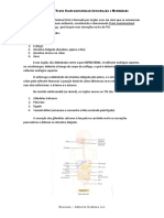 RESUMO - Trato Gastrointestinal - Introdução e Motilidade