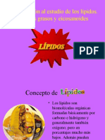 Lipidos Final