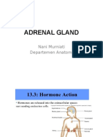 Adrenal Gland: Nani Murniati Departemen Anatomi