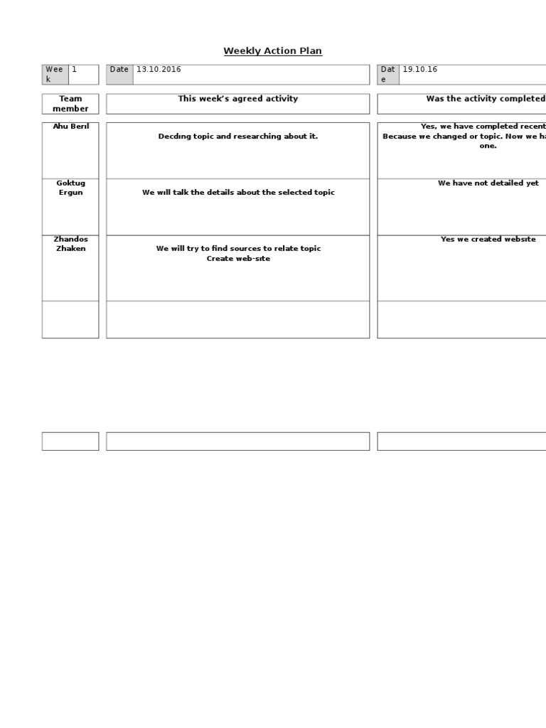 Weekly Team Action Plan Summary | PDF