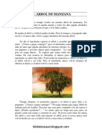 El Arbol de Manzana PDF