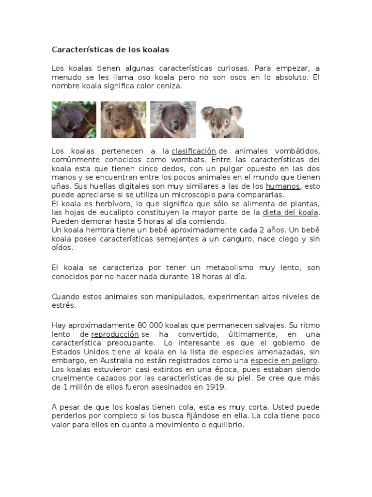 Características de Los Koalas