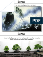 Bonsai 1 PDF