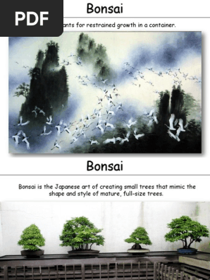 Exploring Bonsai Styles and Techniques | PDF | Bonsai | Trees