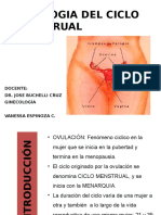 FISIOLOGIA CICLO MENSTRUAL