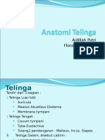 Anatomi dan fisiologi Telinga.ppt