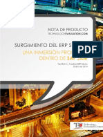 ERP-Social.pdf