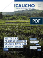 Revista Sltcaucho Septiembre 2015