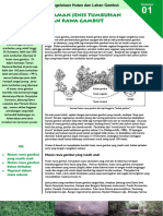 Tumbuhan Di Hutan Rawa Gambut PDF