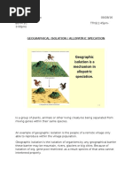 Geographical Isolation / Allopatric Speciation