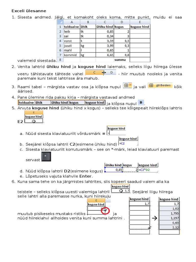 Excel Juhend | PDF
