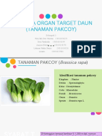 RTPT Organ Target Daun Kelompok 3