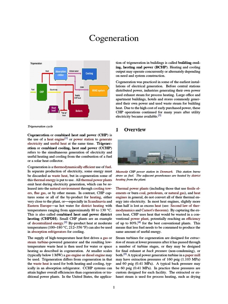 Cogeneration Unit | Cogeneration | Power Station