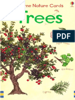 Trees Usborne Nature Cards Eng