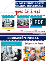 ENFOQUES DE LAS ÁREAS.pdf