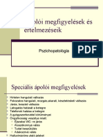 Ápolói Megfigyelések És Értelmezéseik