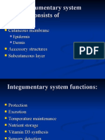 The Integumentary System Consists of