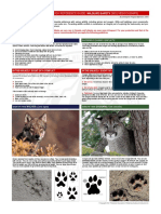 Quick Reference Guide: Wildlife Safety (Wolves/Cougars) : Avoiding Wolf Conflicts Avoiding Cougar Conflicts