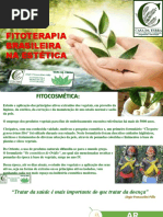 Fitoterapiabrasileiranaesttica 150213144204 Conversion Gate01