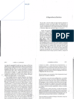 A Experiencia Estetica.pdf