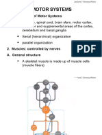 Components of Motor Systems