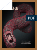 Ebola Memoria