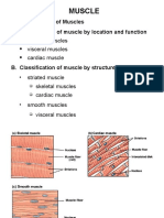 Muscle: 1. Classification of Muscles A. Classification of Muscle by Location and Function
