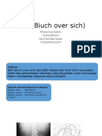 BOF (Biuch Over Sich)