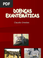 doenças exantemáticas