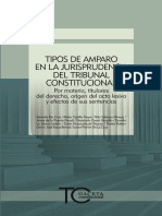 027 Tipos de Amparo en La Jurisprudencia Del Tribunal Constitucional