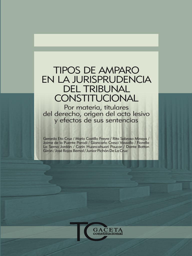 027 Tipos de Amparo en La Jurisprudencia Del Tribunal Constitucional ...