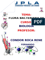 Informe de Biologia