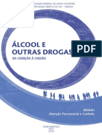 Modulo 3 Alcool e Drogas