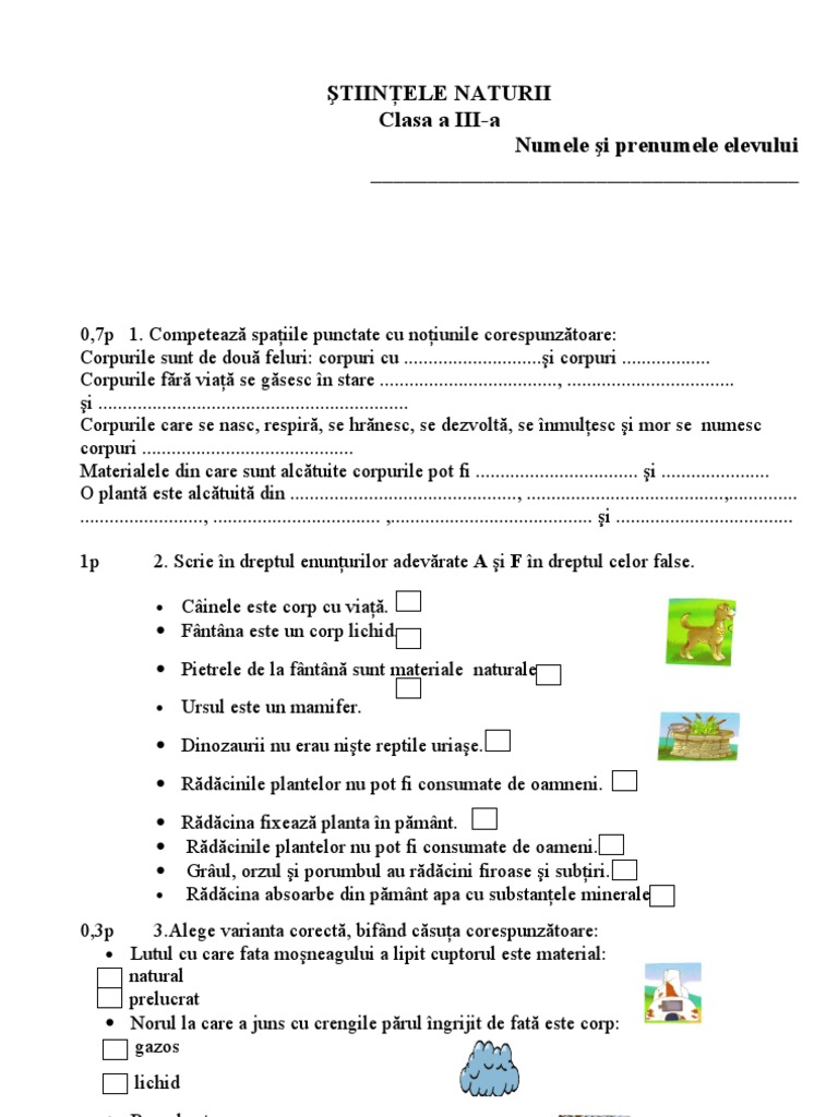 Test Stiinte Clasa 3 | PDF