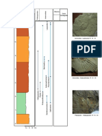 Columna Estratigrafica Puente Inga