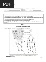 245303585-Teste-1-biologia-12º-ano.pdf