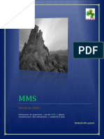 MMS-Español2-.pdf